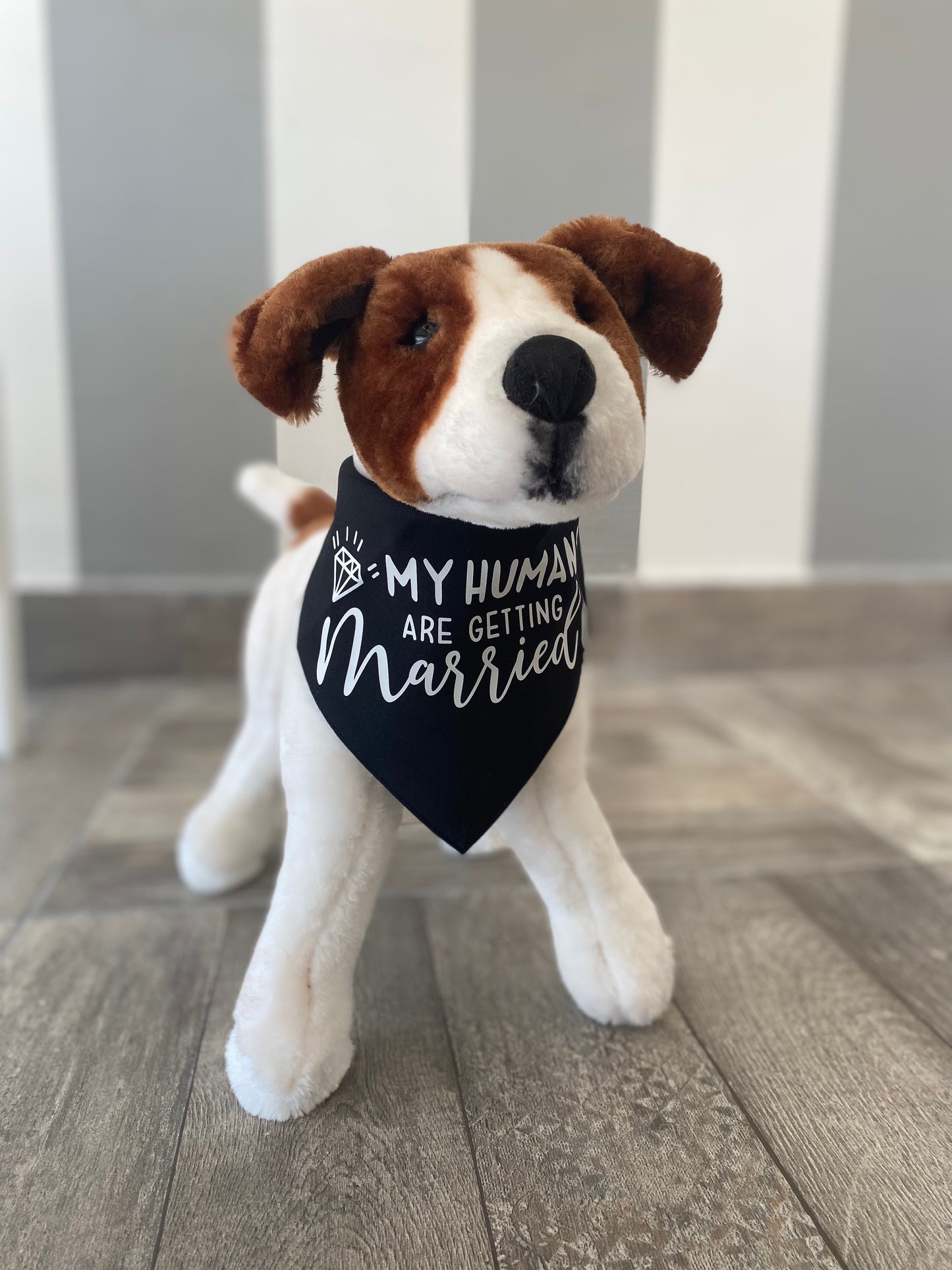 Pañuelo o bandana para perro My humans are getting married