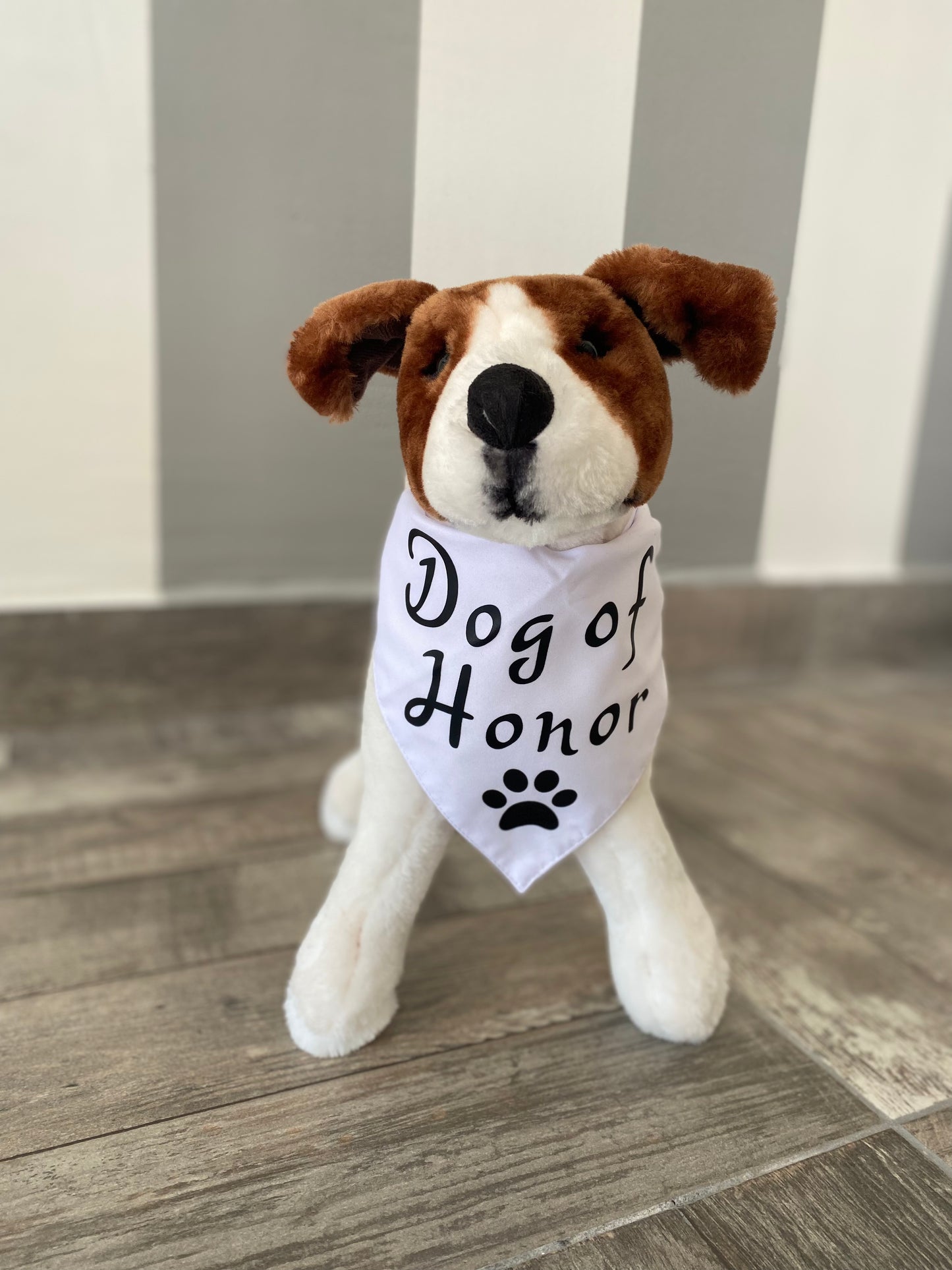 Pañuelo o bandana para perro Dog of honor