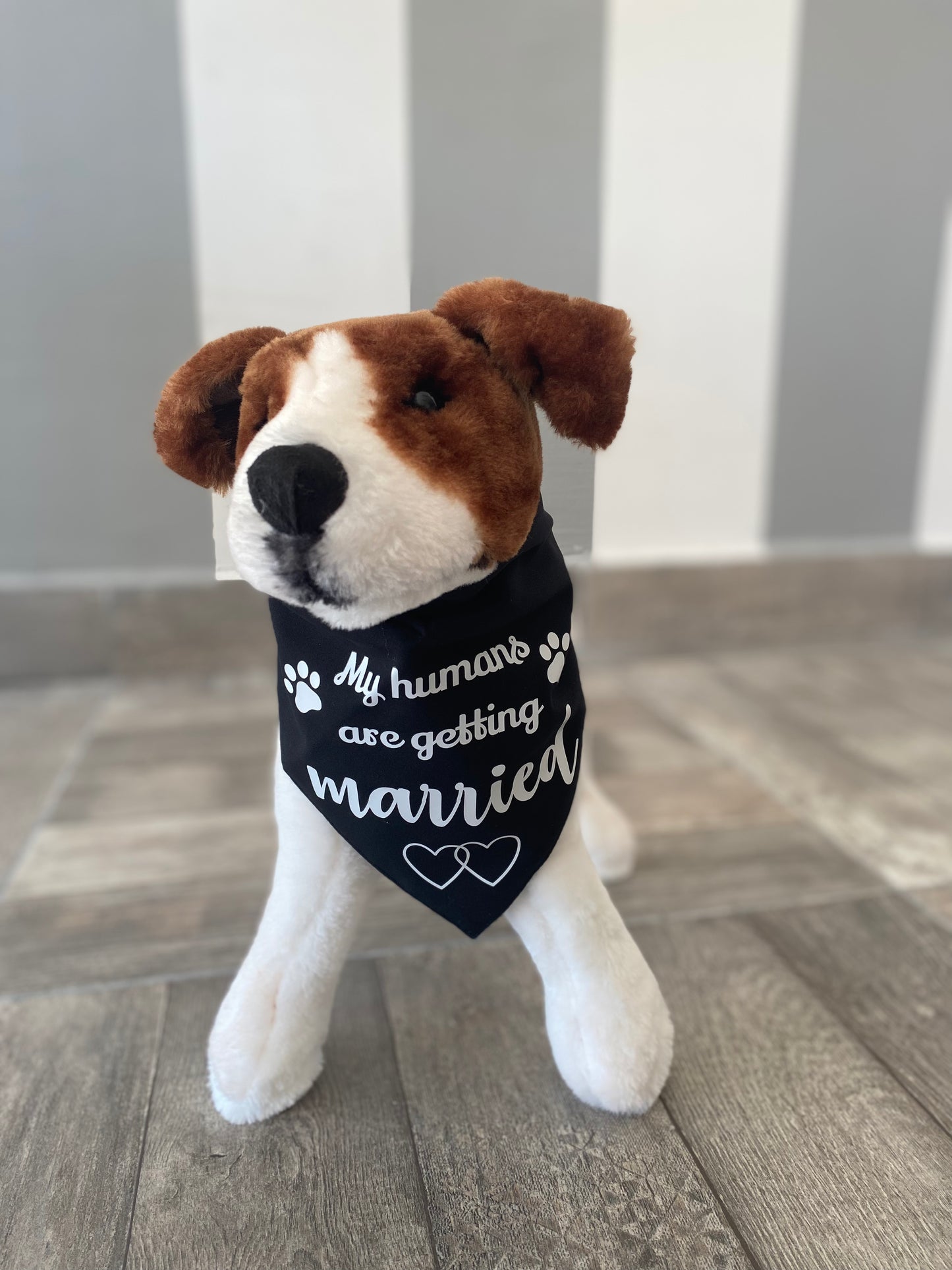 Pañuelo o bandana para perro My humans are getting married